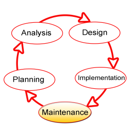 Web Development Services